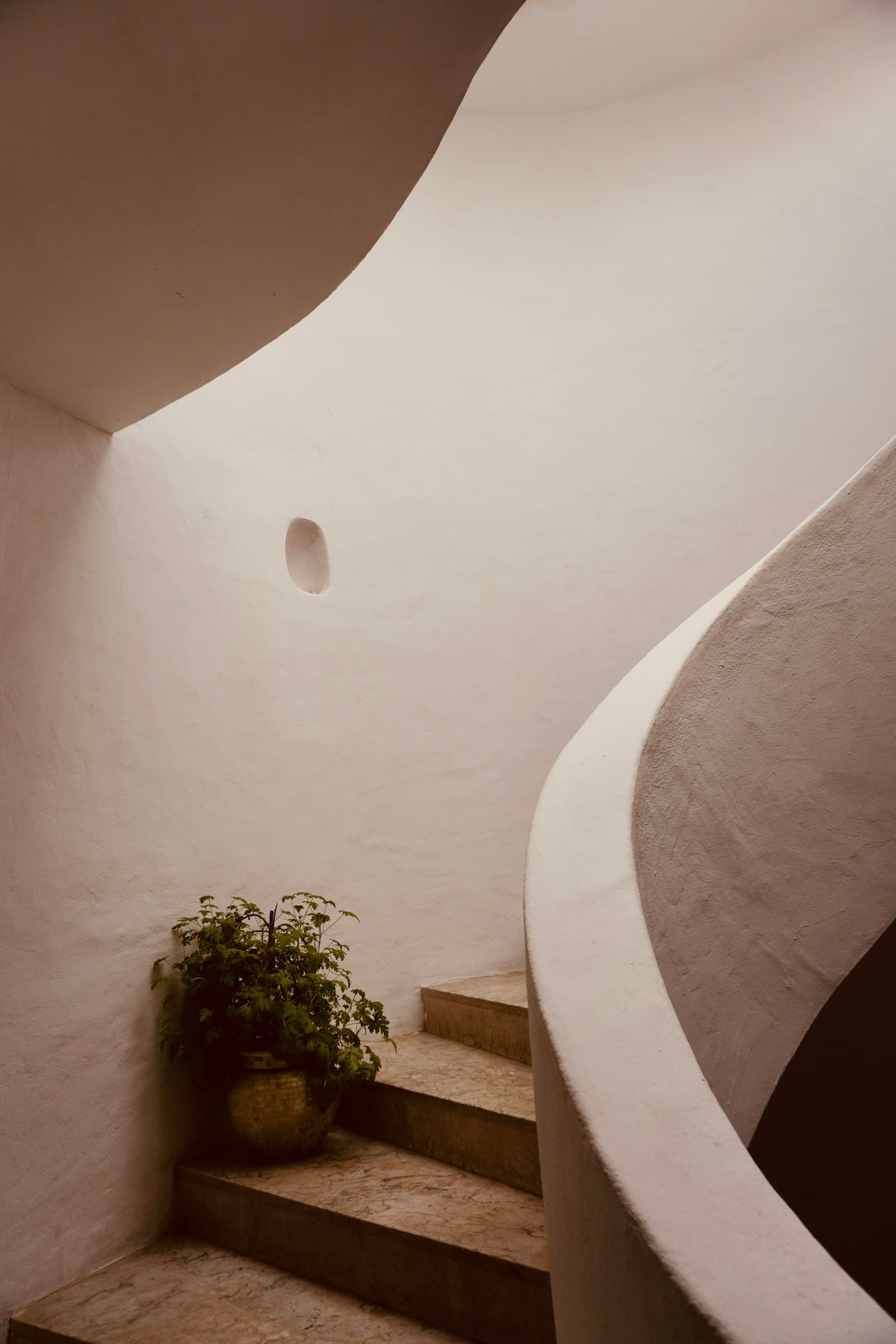 Una escalera curva revocada con cal y una planta en maceta en el rellano
