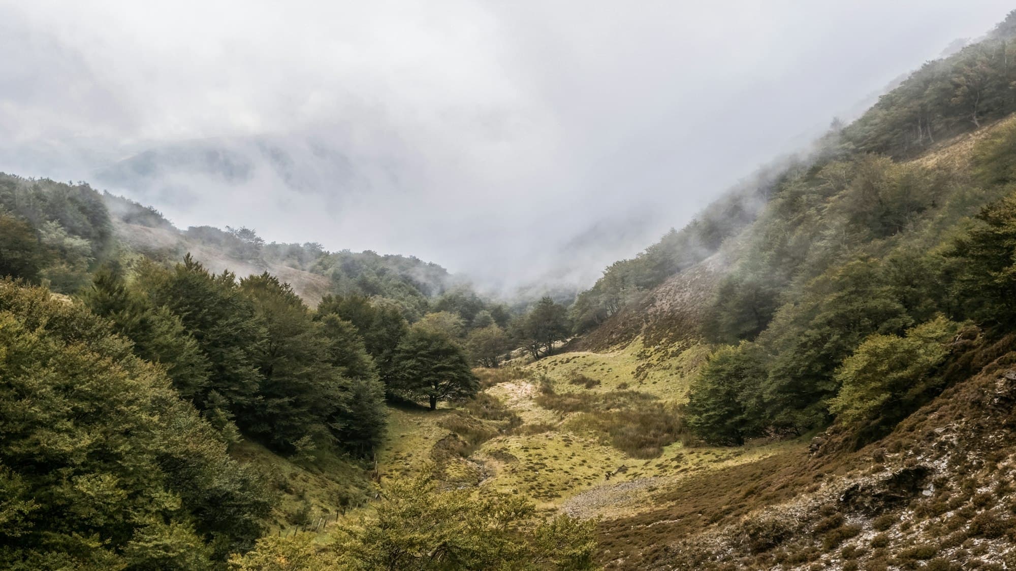 Nubes bajas levantándose de un valle verde, con hayedos en las dos laderas